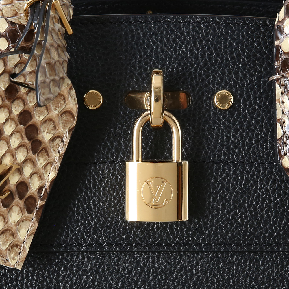 LOUIS VUITTON(USED)루이비통 N95523 시티 스티머